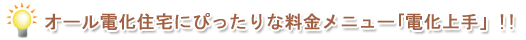 I[dZɂ҂ȗj[udv